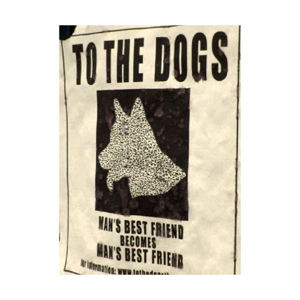 Stories About Town - To The Dogs
