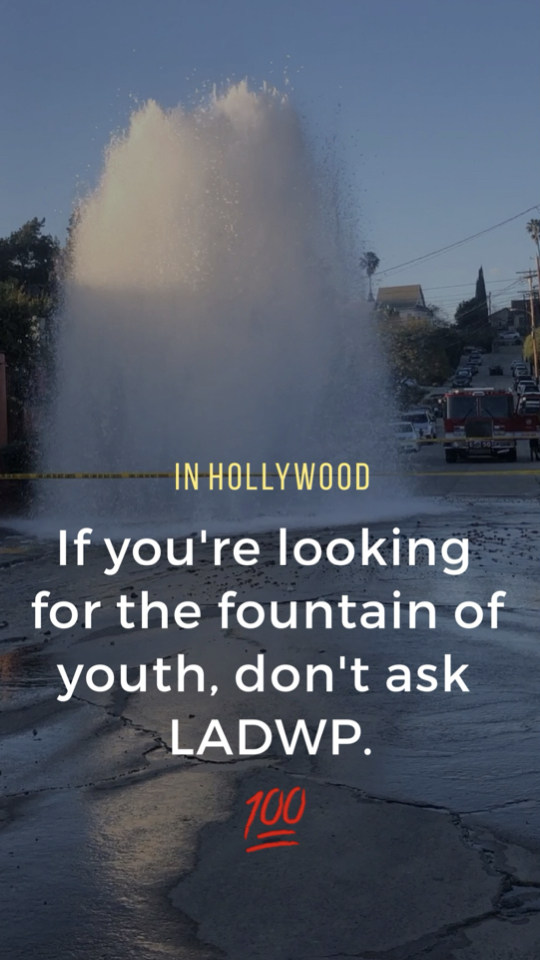 In Hollywood Fountain Of Youth Poster 💯