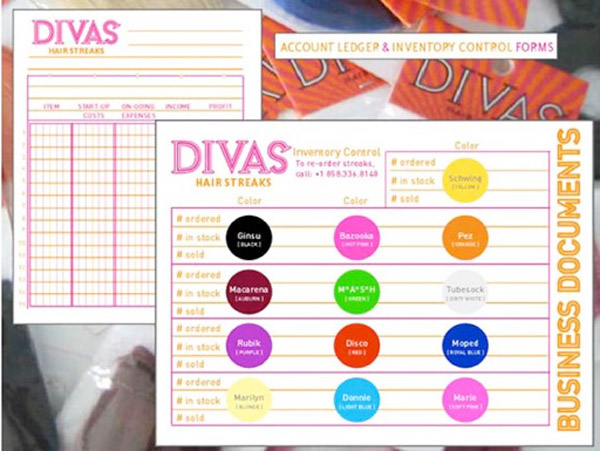 Divas Hair Streaks Business In A Bag Biz Docs